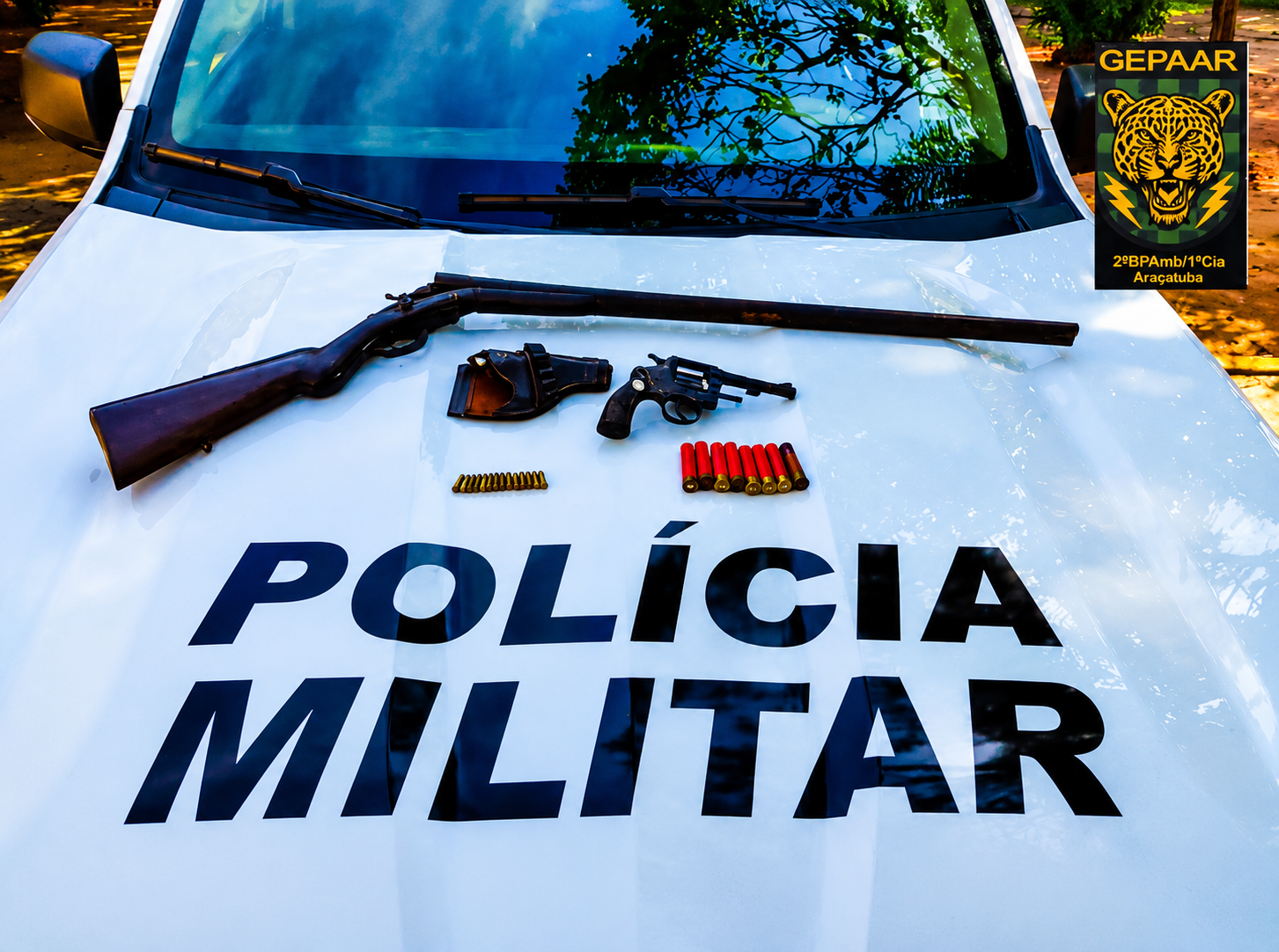 Denúncia de caça ilegal termina com apreensão de armas e munições em sítio