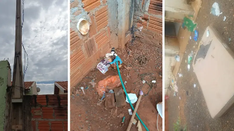 Fiscalização flagra 'gato' de água e luz, sujeira e maus-tratos a cães em Birigui