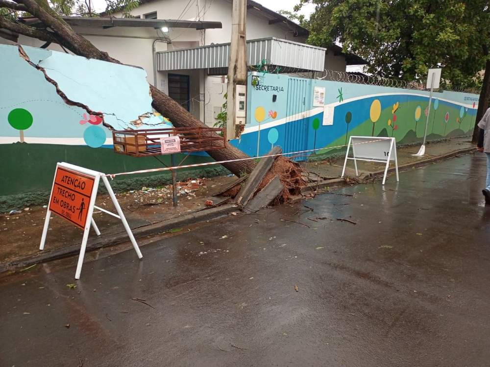 Temporal deixa milhares de casas no escuro em Birigui e Araçatuba; ventos chegaram a 112 km/h