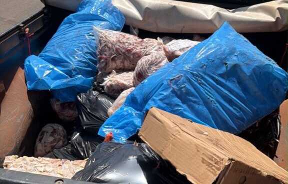 Polícia estoura "açougue fantasma", recolhe meia tonelada de carne podre e encana dois irmãos em Araçatuba