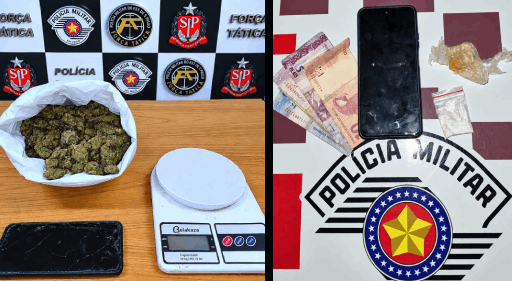 Força Tática dá o bote na maconha tipo flor em Araçatuba e malandro do crack dá o pinote em Guararapes